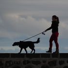 auf der Mauer / oder im Gleichschritt marsch