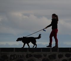 auf der Mauer / oder im Gleichschritt marsch