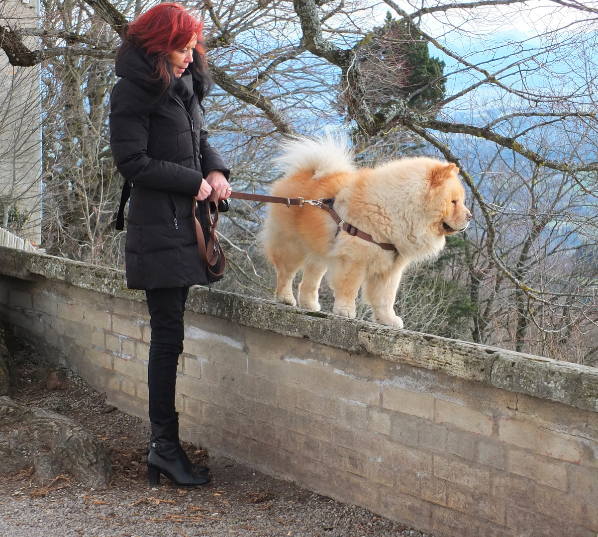 Auf der Mauer vom Hohenpeißenberg sieht man besser