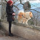 Auf der Mauer vom Hohenpeißenberg sieht man besser