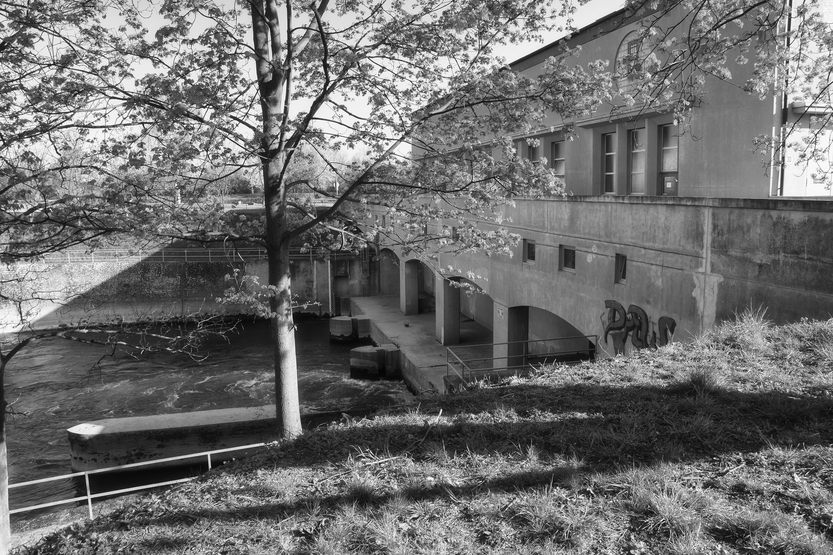 Auf der Maulbeer-Insel in Mannheim