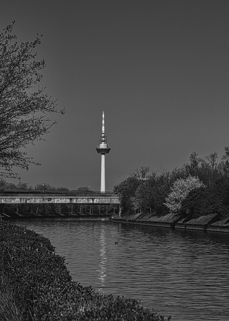 Auf der Maulbeer-Insel in Mannheim