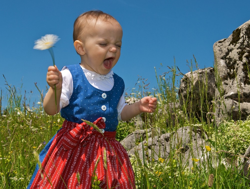 Auf der Maureralm im Blumenmeer