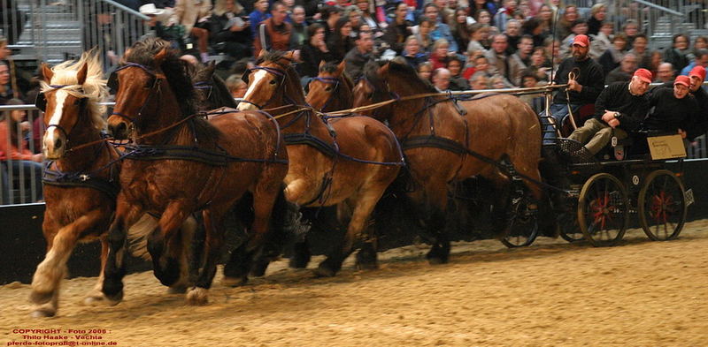 Auf der Messe Pferd und Jagd 2006