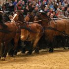 Auf der Messe Pferd und Jagd 2006