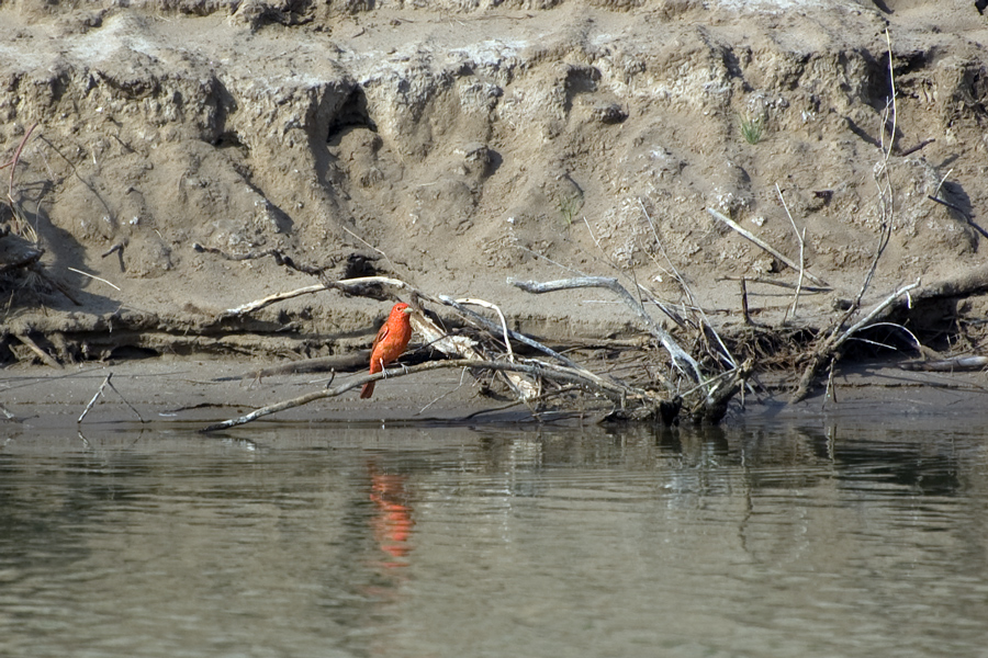 Auf der mexikanischen Uferseite des Rio Grande...