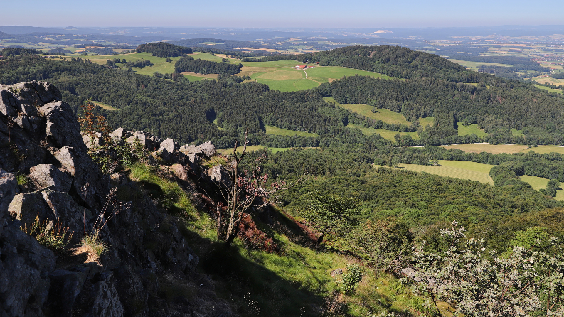 Auf der Milseburg (2019_06_29_EOS 6D Mark II_4487_ji)