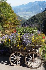 Auf der Mitteralm am Wendelstein