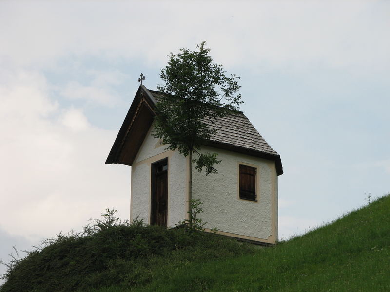 auf der Möslalm bei Wörgl in Tirol