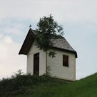 auf der Möslalm bei Wörgl in Tirol