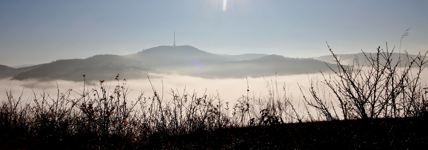 Auf der Mondhalde/Kaiserstuhl ein Nebelmeer November 2022