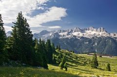 Auf der Montasch - Alm