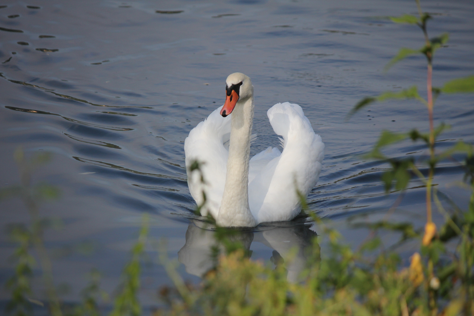 auf der Mosel