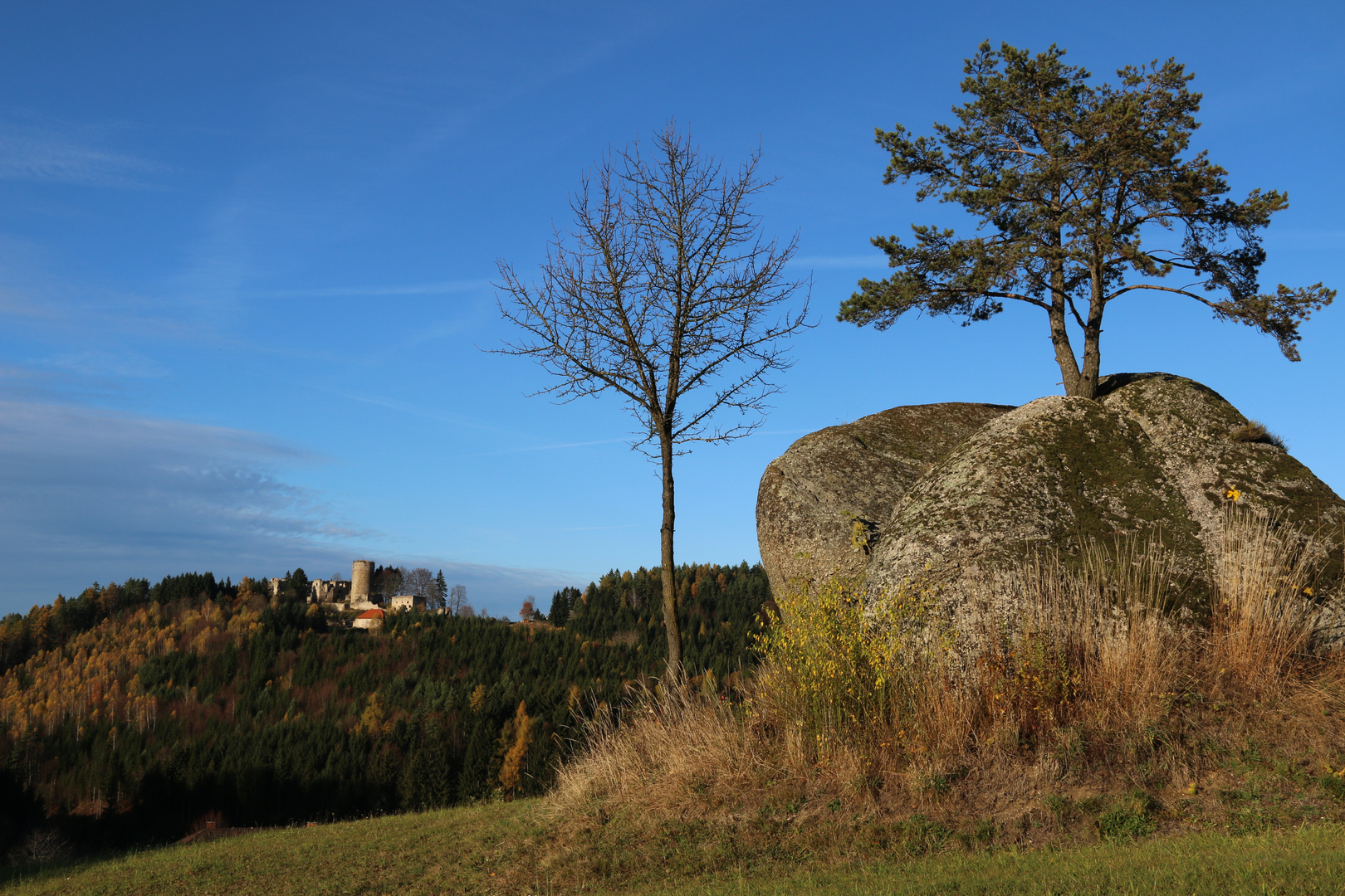 Auf der Mühlviertler Alm