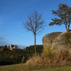 Auf der Mühlviertler Alm