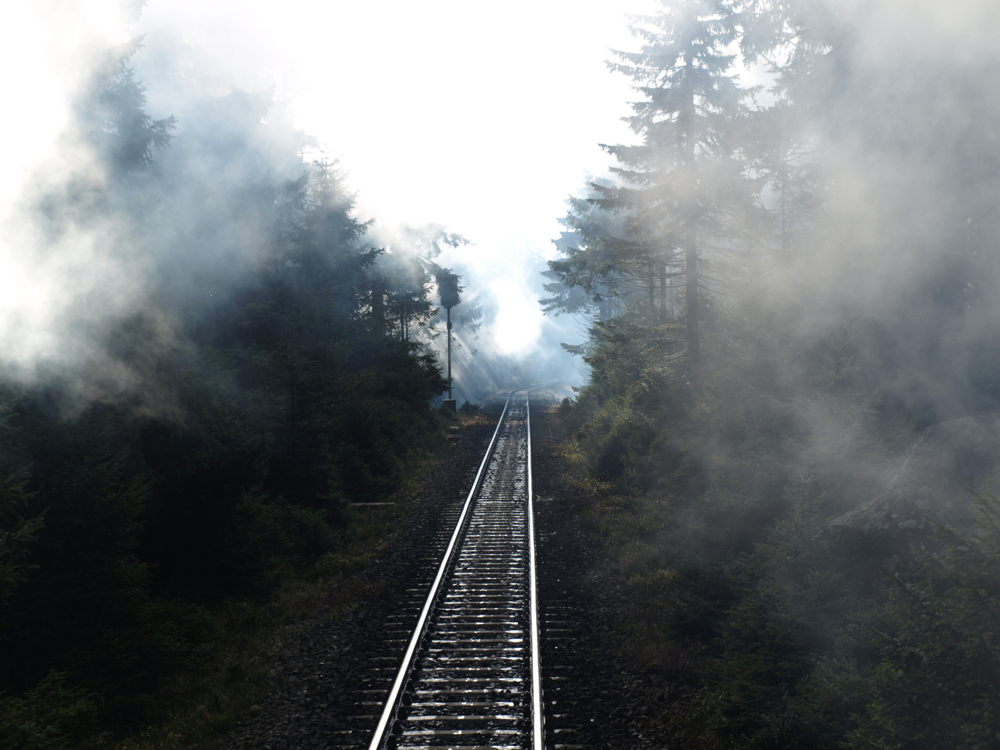 Auf der mystischen Fahrt zum Brockengipfel