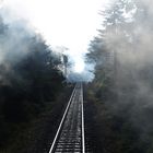 Auf der mystischen Fahrt zum Brockengipfel