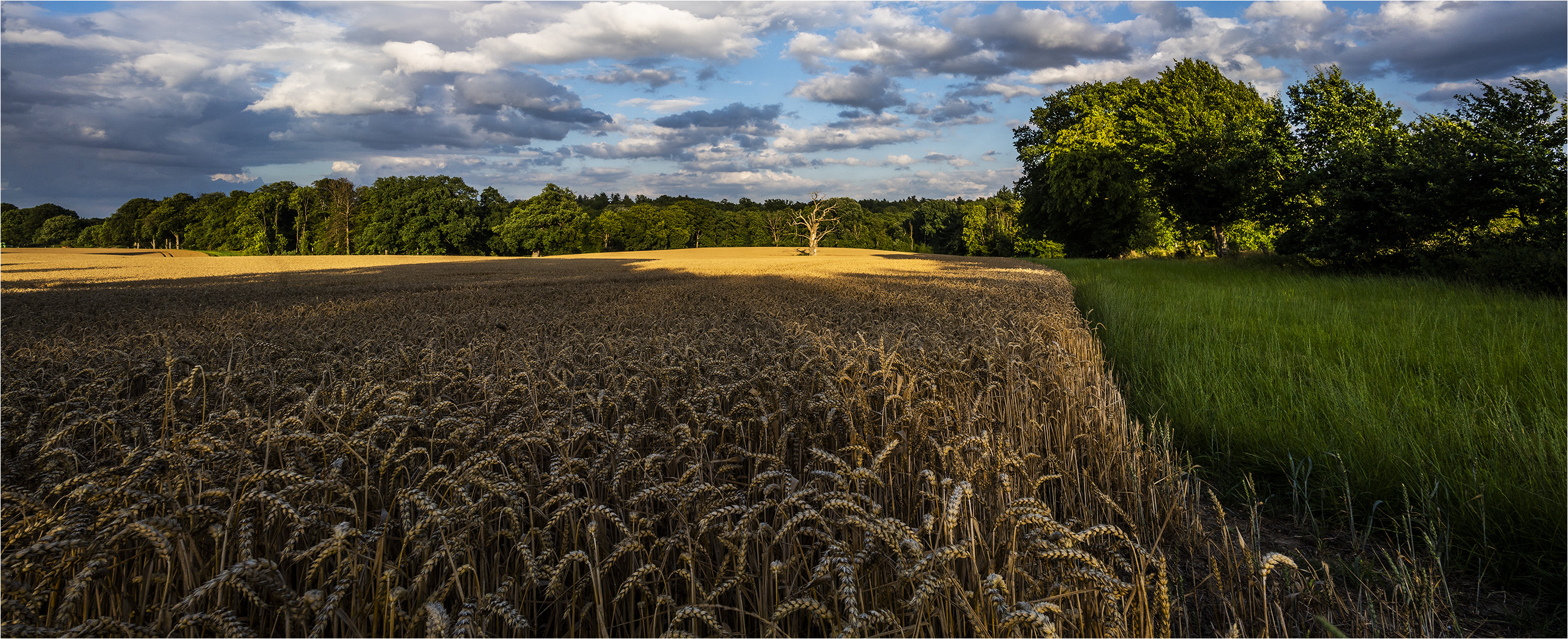 … Auf der Naturbühne …