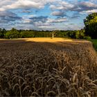 … Auf der Naturbühne …