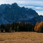 Auf der Nemes Alm im Herbst