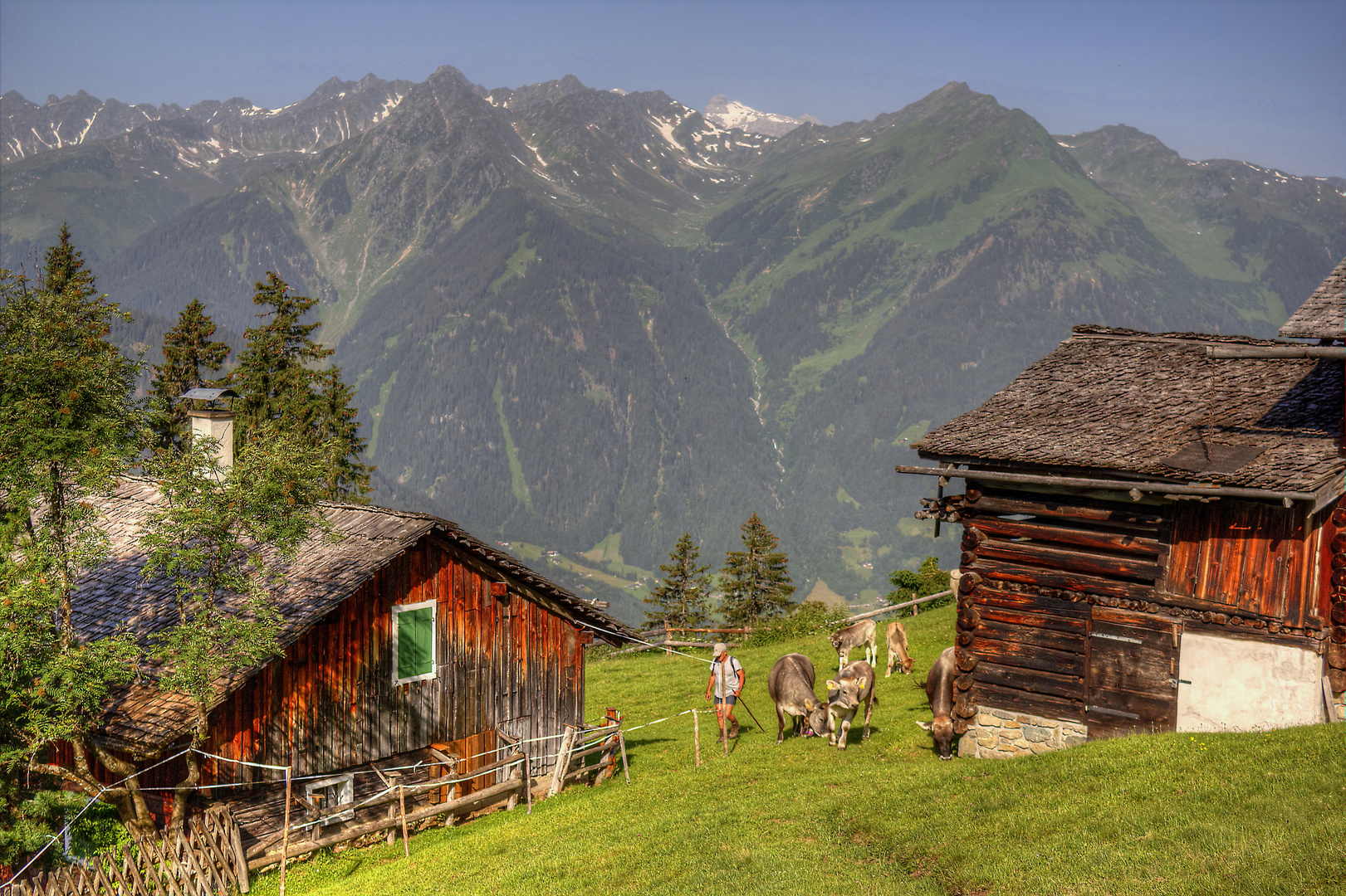 Auf der Netzaalpe 2