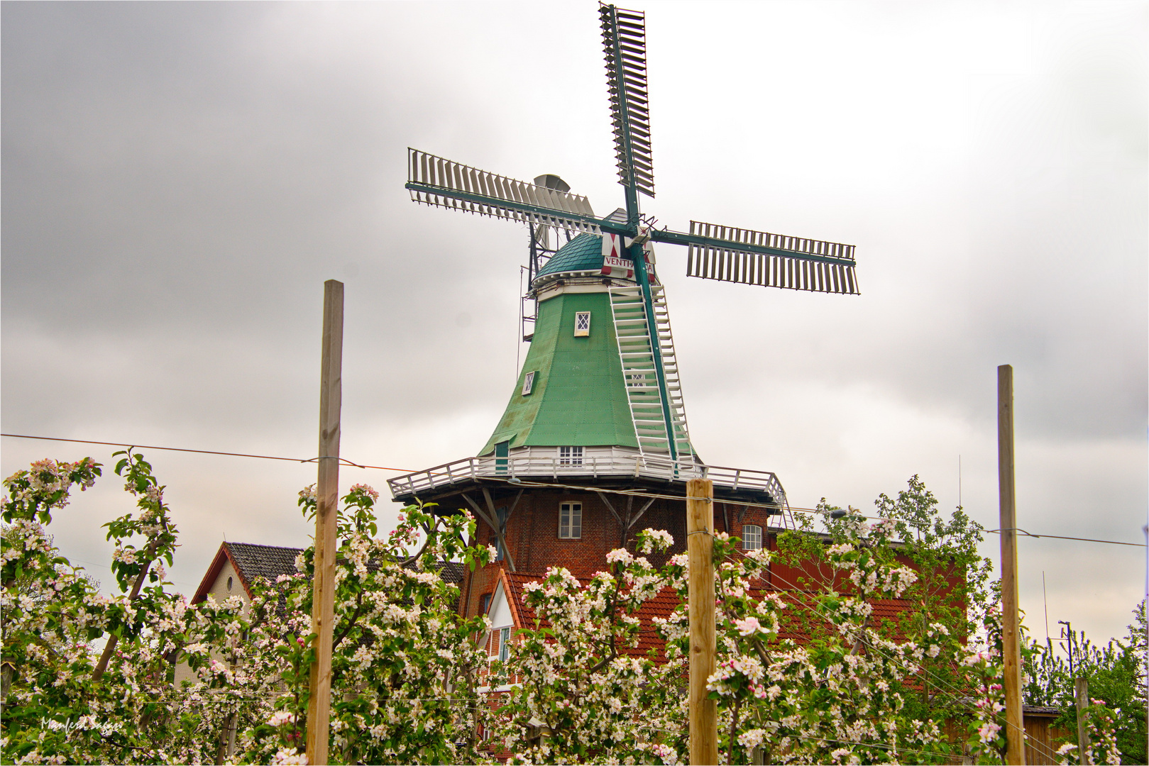 Auf der Niedersächsischen Mühlenstraße – die Windmühle Venti Amica