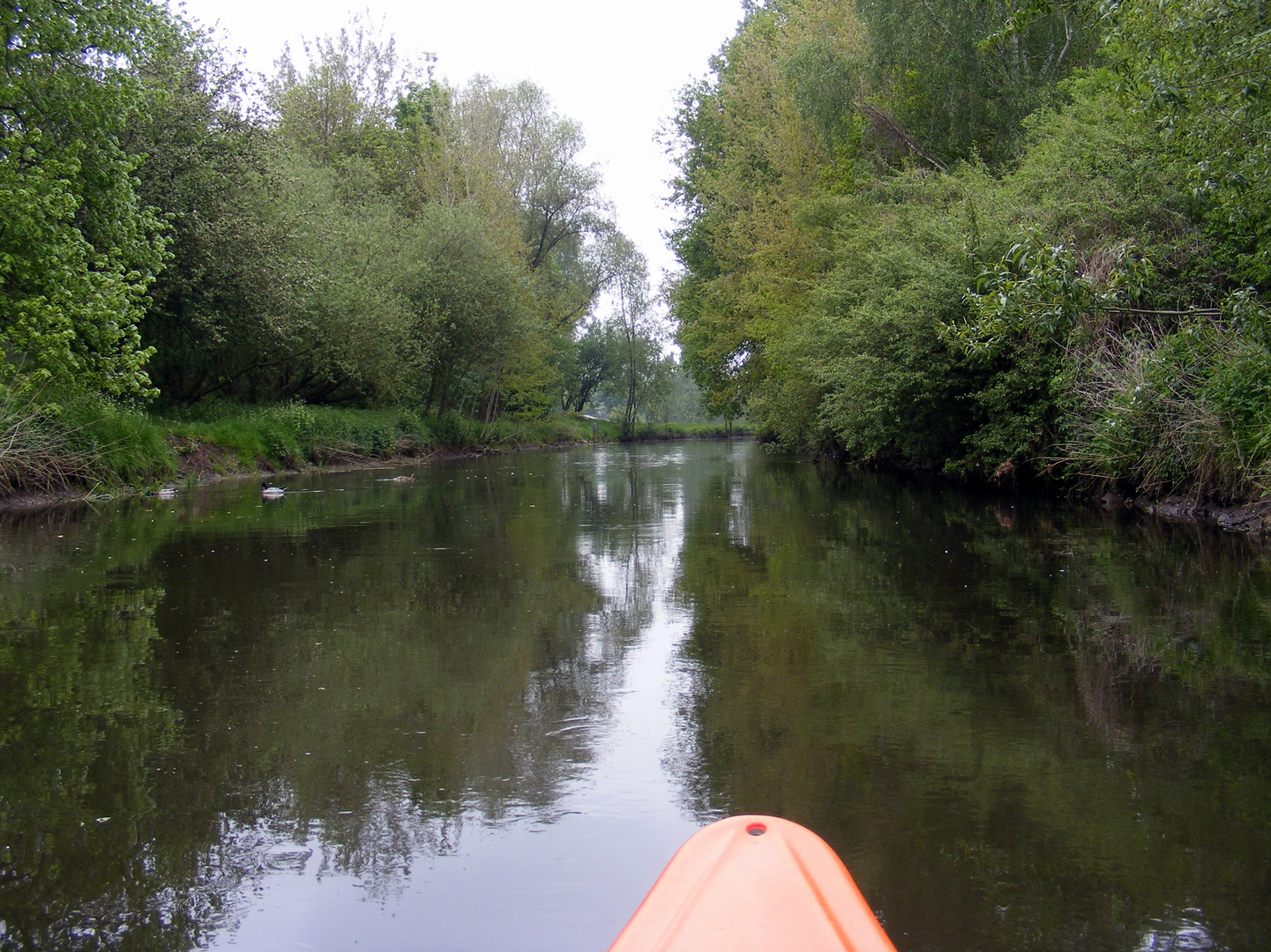 Auf der Niers