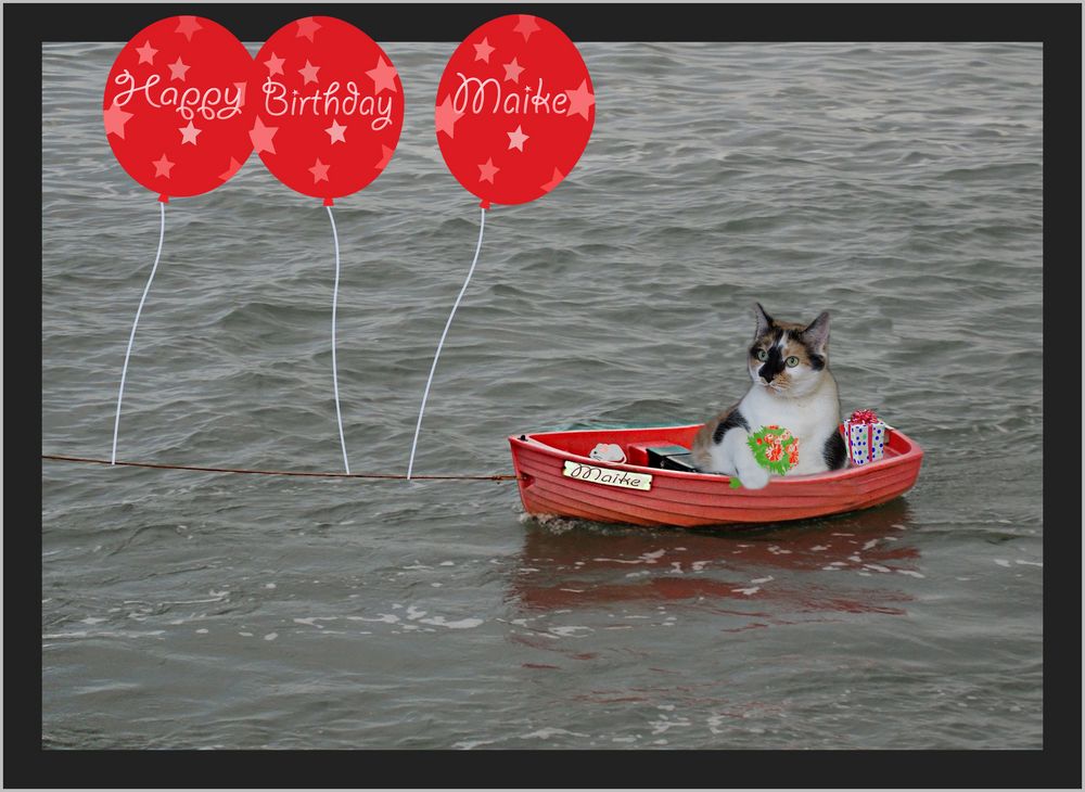 Auf der Nordsee... Foto & Bild gratulation und feiertage, geburtstag
