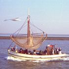 Auf der Nordsee...(mit Möwe und Fotograf)