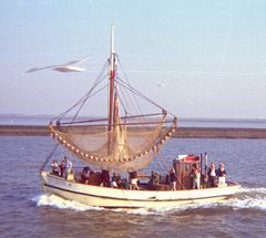 Auf der Nordsee...(mit Möwe und Fotograf)