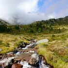 auf der Oberen Flatschbergalm