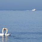 Auf der Ostsee