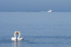 Auf der Ostsee