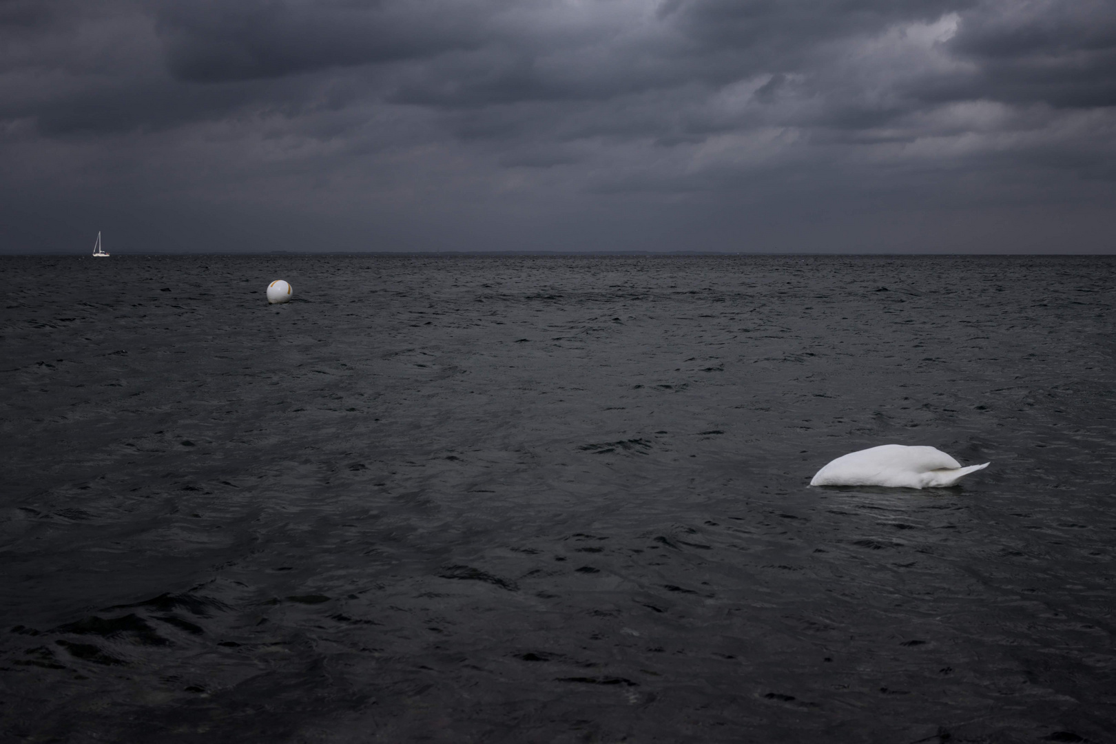 Auf der Ostsee