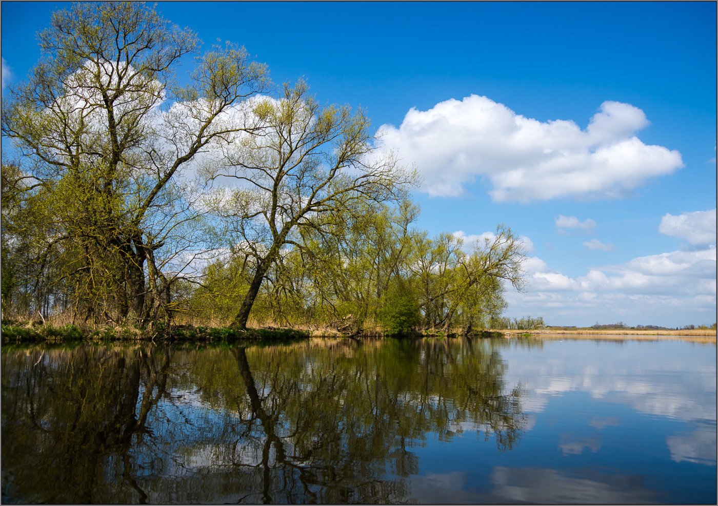 auf der Peene