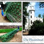 auf der Pfaueninsel