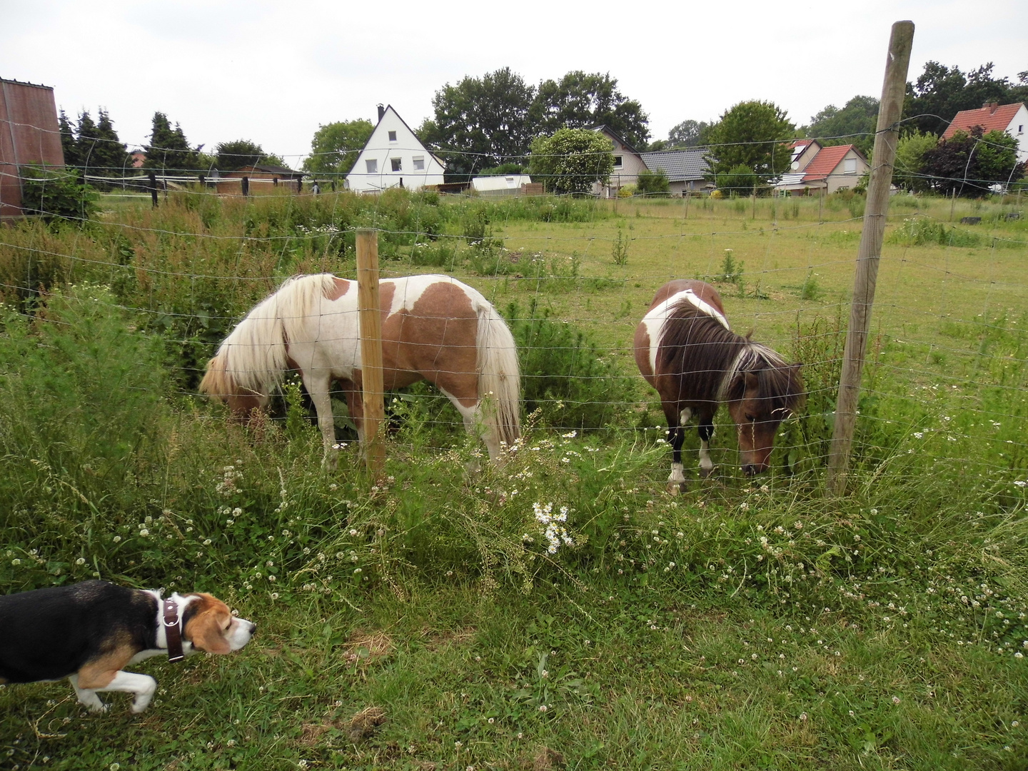 Auf der Pirsch...