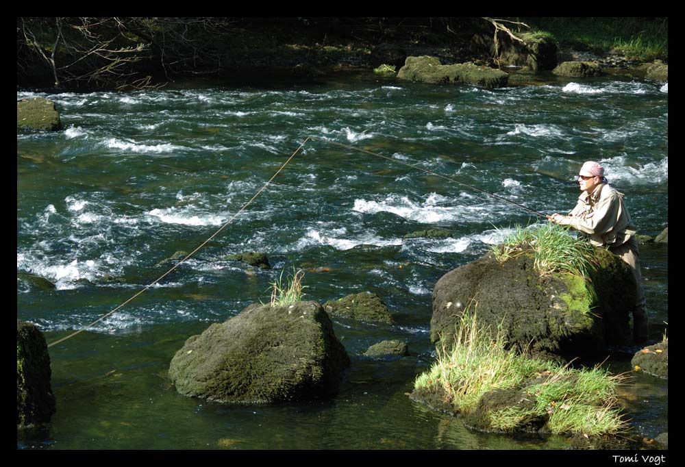 Auf der Pirsch am Doubs 2006