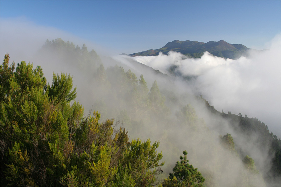 Auf der Pista de Cumbre Nueva...