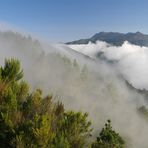 Auf der Pista de Cumbre Nueva...