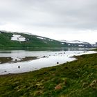 auf der Piste 635  zum Drangajökull