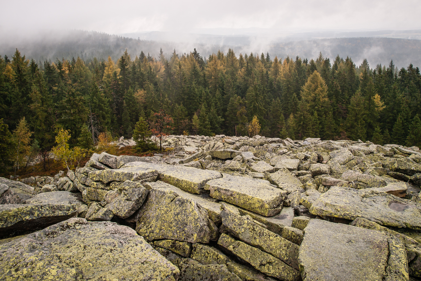 Auf der Platte (Fichtelgebirge)