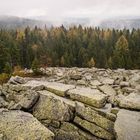 Auf der Platte (Fichtelgebirge)