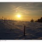 Auf der Platzer Kuppe (Rhön)