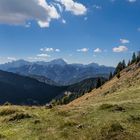 Auf der Poludnig - Alm II