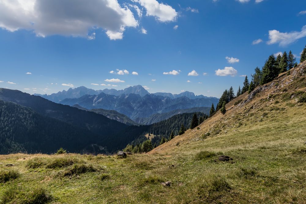 Auf der Poludnig - Alm II