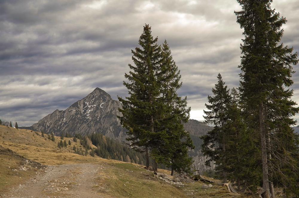 Auf der Postalm im Salzkammergut -3