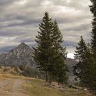 Auf der Postalm im Salzkammergut -3