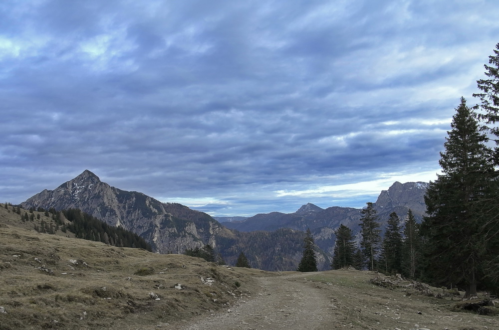 Auf der Postalm im Salzkammergut -4