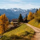 Auf der Prantner Alm 